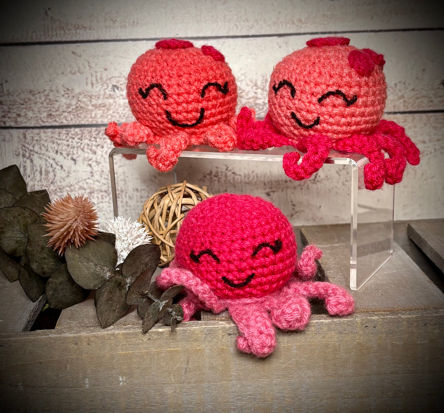 Mini Octo