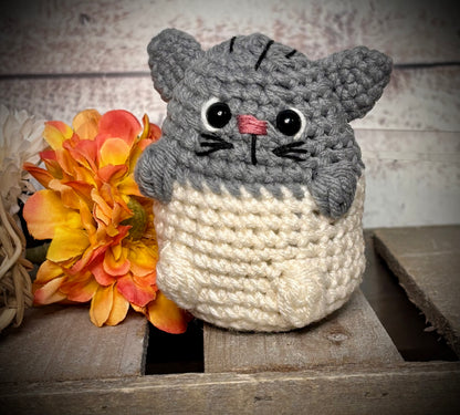 Chubby Kitty